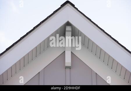 Toit de plusieurs toits avec poissons en vinyle horizontal avec fond bleu neutre Banque D'Images