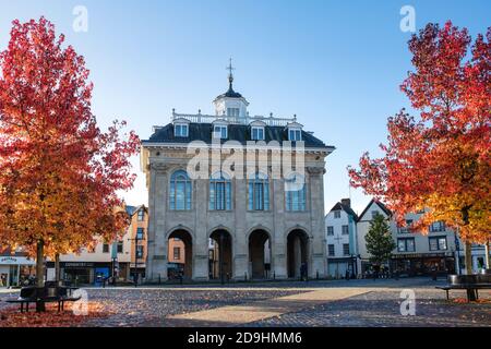 Liquidambar Styraciflua arbres en automne à l'extérieur de l'Abingdon County Hall dans la place du marché. Abingdon sur la Tamise, Oxfordshire, Angleterre Banque D'Images