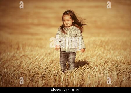 Bonne fille de deux ans vêtue d'un sweat-shirt à capuche tricoté marchant en été, champ récolté Banque D'Images
