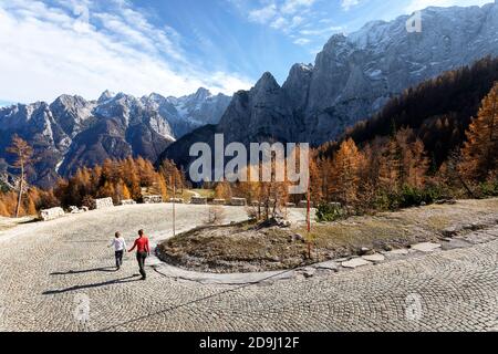 Deux randonneurs touristiques marchant le long de la route asphaltée sinueuse et déserte entourée de mélèzes dorés d'automne sur le col pittoresque de Vrsic, en Slovénie. Banque D'Images