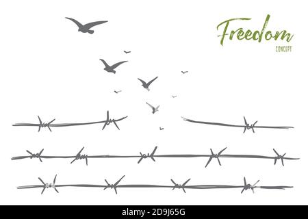 Des oiseaux dessinés à la main survolant un fil barbelé cassé Illustration de Vecteur