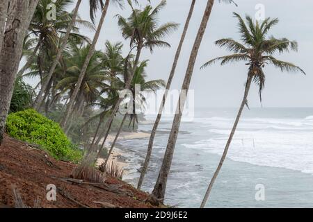 Mirissa Coconut Tree Hill est l'une des meilleures destinations touristiques de la province du sud, vue latérale sur l'horizon océanique Banque D'Images