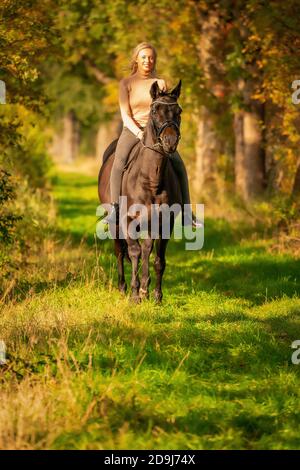 Belle femme blonde cavalier sur un cheval sans sadique, dans les bois au soleil couchant, jour d'automne. Équitation, équitation Banque D'Images