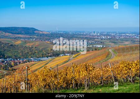 Struempfelbach - vignobles de la région de Weinstadt - magnifique paysage à l'autum près de Stuttgart, Bade-Wurtemberg, Allemagne Banque D'Images