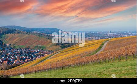 Struempfelbach - vignobles de la région de Weinstadt - magnifique paysage à l'autum près de Stuttgart, Bade-Wurtemberg, Allemagne Banque D'Images