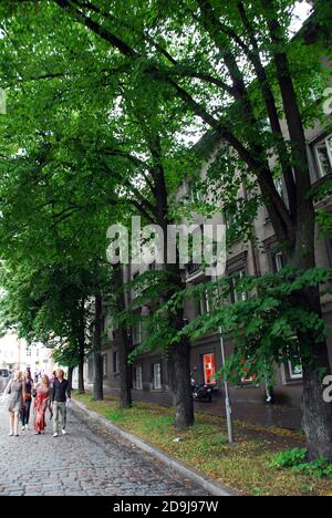 Estonie Tallinn 02 Banque D'Images