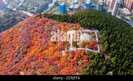 Vue aérienne de la montagne de Xiezi, où des arbres de différentes couleurs des deux côtés de la montagne divisent la montagne en demi rouge et demi vert à Jinan Banque D'Images