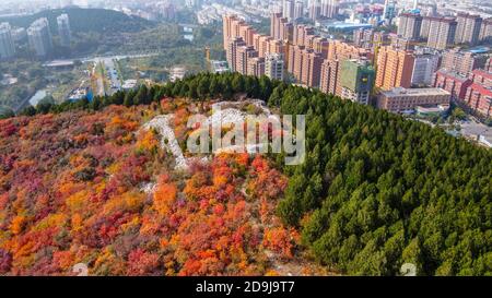 Vue aérienne de la montagne de Xiezi, où des arbres de différentes couleurs des deux côtés de la montagne divisent la montagne en demi rouge et demi vert à Jinan Banque D'Images