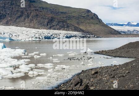 Belle photo de lac glaciaire Fjallsarlon rempli d'icebergs flottant près du glacier Fjallsjokull Banque D'Images