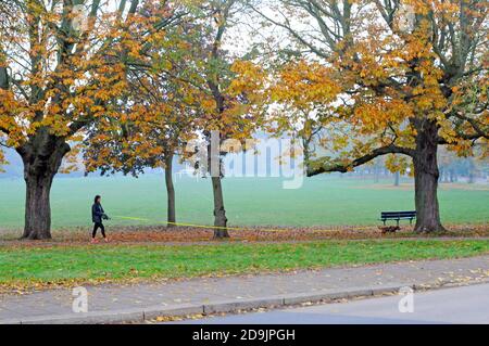 Londres, Royaume-Uni. 6 novembre 2020. Les gens font de l'exercice sur Wandsworth Common le deuxième jour du confinement. Credit: JOHNNY ARMSTEAD/Alamy Live News Banque D'Images