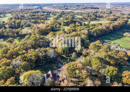 Photos aériennes de drone Forêt du Hampshire, montrant les niveaux de reboisement Banque D'Images