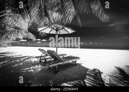 Paysage artistique noir et blanc de paradis tropical de plage, chaises et parasol sous les feuilles de palmier. Décor tropical monochrome, montage photo incroyable Banque D'Images