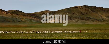 Moutons et chèvres dans un pâturage en Mongolie. Panorama du pâturage. Source de viande, lait et laine. Le cachemire de chèvre et le fromage sont un souvenir préféré de Banque D'Images