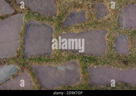 Chemin de jardin en grandes pierres. Chemin en pierre naturelle dans le parc forestier. Banque D'Images