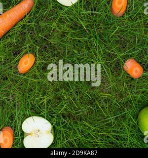 Fruit sur l'herbe, pomme de carotte gingembre citrouille mains fraîches et saines Banque D'Images