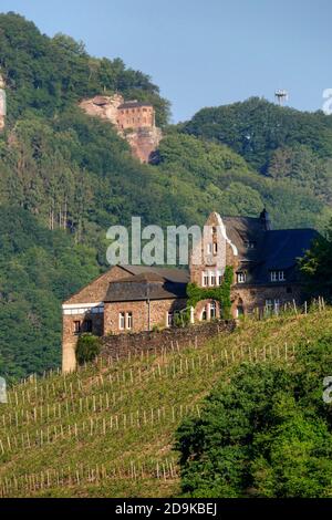 Cave de vinification Würtzberg à Serrig et Klause à Kastel-Staadt, vallée de Saar, Rhénanie-Palatinat, Allemagne Banque D'Images