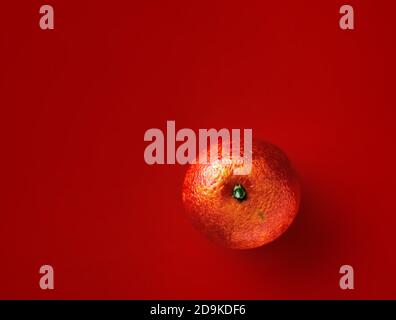 Orange vif Kara-Kara sur fond rouge. Agrumes sinensis Cara Cara navel orange Banque D'Images