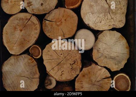 Arrière-plan du bois de chauffage empilé dans le bois de pilePile de bois de bois stockés pour l'hiver. Banque D'Images