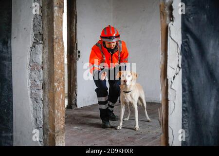 Formation de chien de secours, dans des maisons vides les chiens de détection pratiquent la recherche de personnes blessées, Herne, Rhénanie-du-Nord-Westphalie, Allemagne Banque D'Images