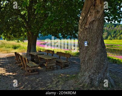 Europe, Allemagne, Hesse, Ederbergland, parc naturel Kellerwald-Edersee, lieu de repos sous les châtaigniers sur l'Eder près de Herzhausen Banque D'Images