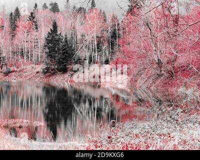 Magnifique lac Lokve en Croatie Europe monochrome modifié couleur rouge Banque D'Images