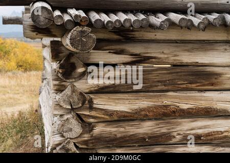 Détail de l'ancienne cabane historique en rondins de Cunningham construite en 1888. Parc national de Grand Teton, Wyoming, États-Unis. Banque D'Images