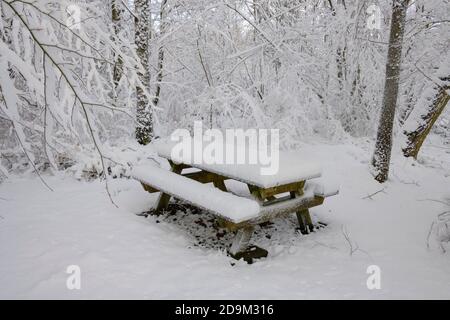 Groupe de sièges, forêt, hiver, Odenwald, Bade-Wurtemberg, Allemagne Banque D'Images