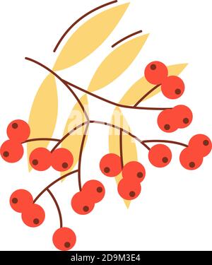 Rowanberry en automne vecteur plat élément abstrait Illustration de Vecteur