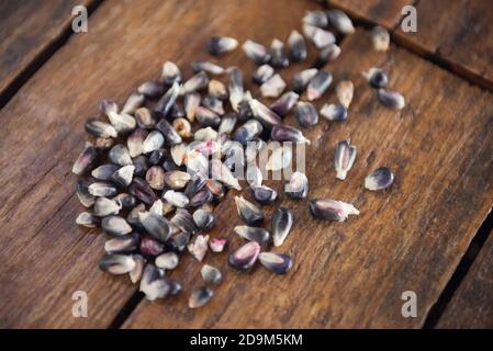 Gros plan d'une pile de grains de maïs violet séchés sur une table en bois Banque D'Images