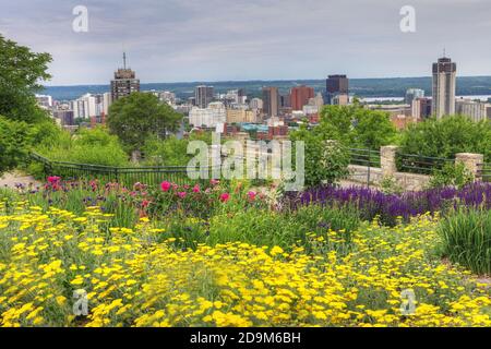 La ligne d'horizon de Hamilton, Ontario, avec des fleurs en premier plan Banque D'Images