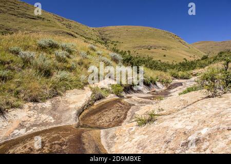 Un petit ruisseau de montagne s'écoulant sur un grès doux et abîmé, lors d'une journée ensoleillée dans les prairies de haute altitude du parc national du Golden Gate Banque D'Images