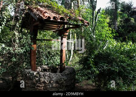 Ancien bien fait de pierre, bois et tuiles de toit dans une forêt ou un jardin entouré de buisson vert et de feuillage. Matériel agricole ancien Banque D'Images
