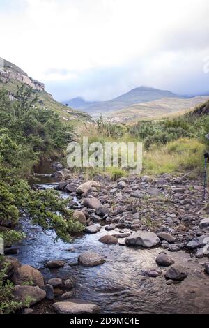 Un ruisseau de montagne en début de matinée avec les sommets en arrière-plan encore enveloppé de brume, photographié dans le Golden Gate Highlands National par Banque D'Images