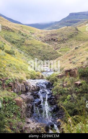 Une petite cascade dans le Ribbokspruit, un ruisseau de montagne clair dans le parc national des Hautes-terres du Golden Gate, Afrique du Sud, avec des montagnes couvertes de brume i Banque D'Images