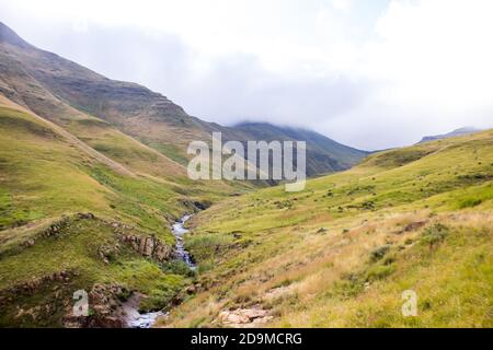 Un petit ruisseau de montagne, qui coule à travers les pentes de montagne couvertes d'herbe du parc national des Hautes-terres du Golden Gate, en Afrique du Sud, sur un mornin brumeux Banque D'Images