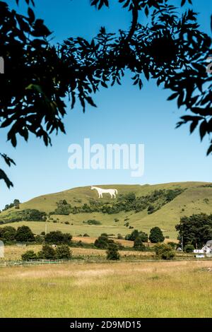 Westbury White Horse Banque D'Images