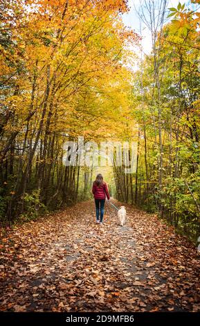 Femme marchant son chien le long d'un sentier boisé le jour de l'automne. Banque D'Images