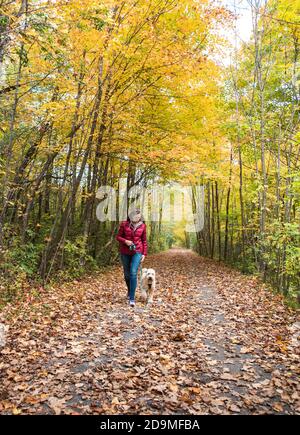 Femme marchant son chien le long d'un sentier boisé le jour de l'automne. Banque D'Images