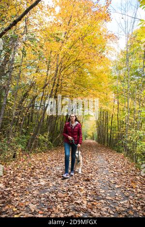 Femme marchant son chien le long d'un sentier boisé le jour de l'automne. Banque D'Images