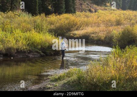 Un pêcheur pêche à la mouche sur Tin Cup Creek près de Wayan, Idaho. Banque D'Images