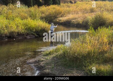 Un pêcheur pêche à la mouche sur Tin Cup Creek près de Wayan, Idaho. Banque D'Images