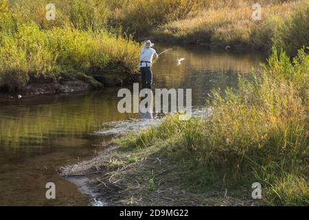 Un pêcheur pêche à la mouche sur Tin Cup Creek près de Wayan, Idaho. Banque D'Images