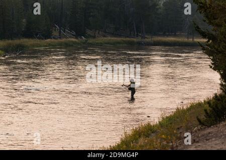 Une femme pêche à la mouche sur la rivière Madison, dans le parc national de Yellowstone, dans le Wyoming. Banque D'Images
