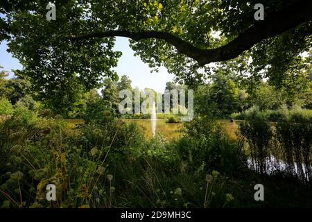 Essen, Rhénanie-du-Nord-Westphalie, région de la Ruhr, Allemagne, parc, ici le Kray Volksgarten, photographié à l'occasion de la Essen 2017 capitale verte de l'Europe. Banque D'Images