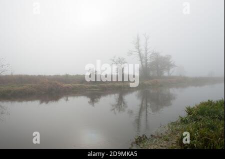 Rivière Liwiec à LIW, voïvodie de Masovie, Pologne Banque D'Images