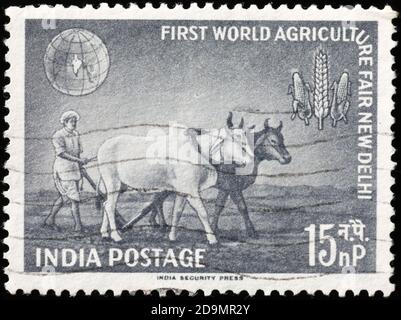 Fermier et boeufs au travail sur l'ancien timbre indien Banque D'Images