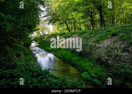 L'eau courante renatrée, le Hellbach appartient au système de l'Emscher, était auparavant un canal d'eaux usées ouvert, au-dessus du sol, conversion d'Emscher, Recklinghausen, région de la Ruhr, Rhénanie-du-Nord-Westphalie, Allemagne Banque D'Images