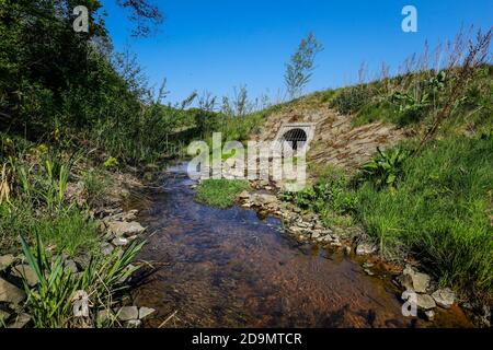 L'eau courante renatrée, le Breuskes Mühlenbach, appartient au système de l'Emscher, était auparavant un canal d'eaux usées ouvert, au-dessus du sol, conversion d'Emscher, Recklinghausen, région de la Ruhr, Rhénanie-du-Nord-Westphalie, Allemagne Banque D'Images