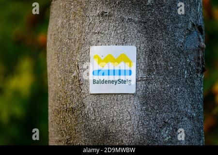 Essen, Rhénanie-du-Nord-Westphalie, région de la Ruhr, Allemagne, marquage sur l'arbre sur le sentier de randonnée BaldeneySteig sur le lac Baldeney. Banque D'Images