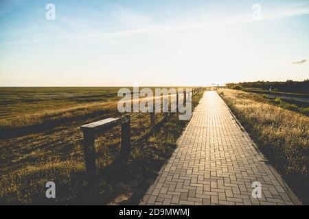 Herbes et prairies et un chemin sur la digue au coucher du soleil, St.Peter Ording, Mer du Nord, Mer des Wadden Banque D'Images